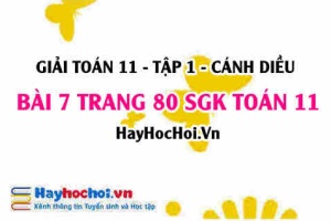 Giải bài 7 trang 80 Toán 11 tập 1 SGK Cánh Diều